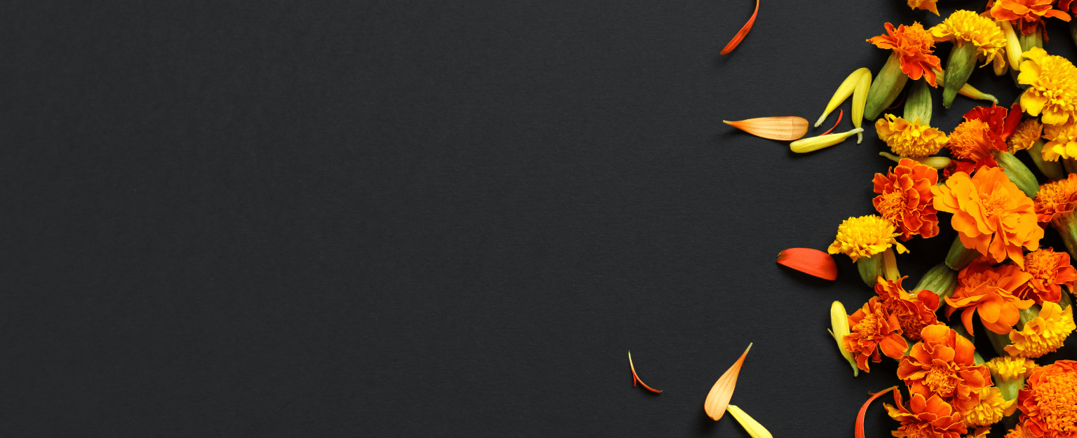 banner-image